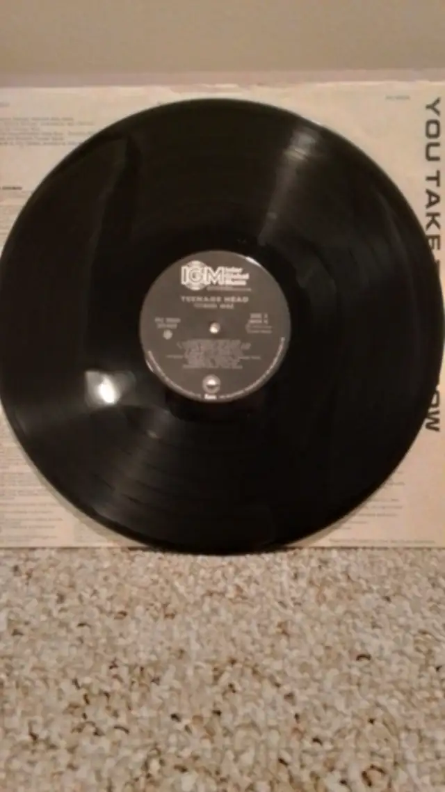 Teenage Head Vinyl Records - Photo 5