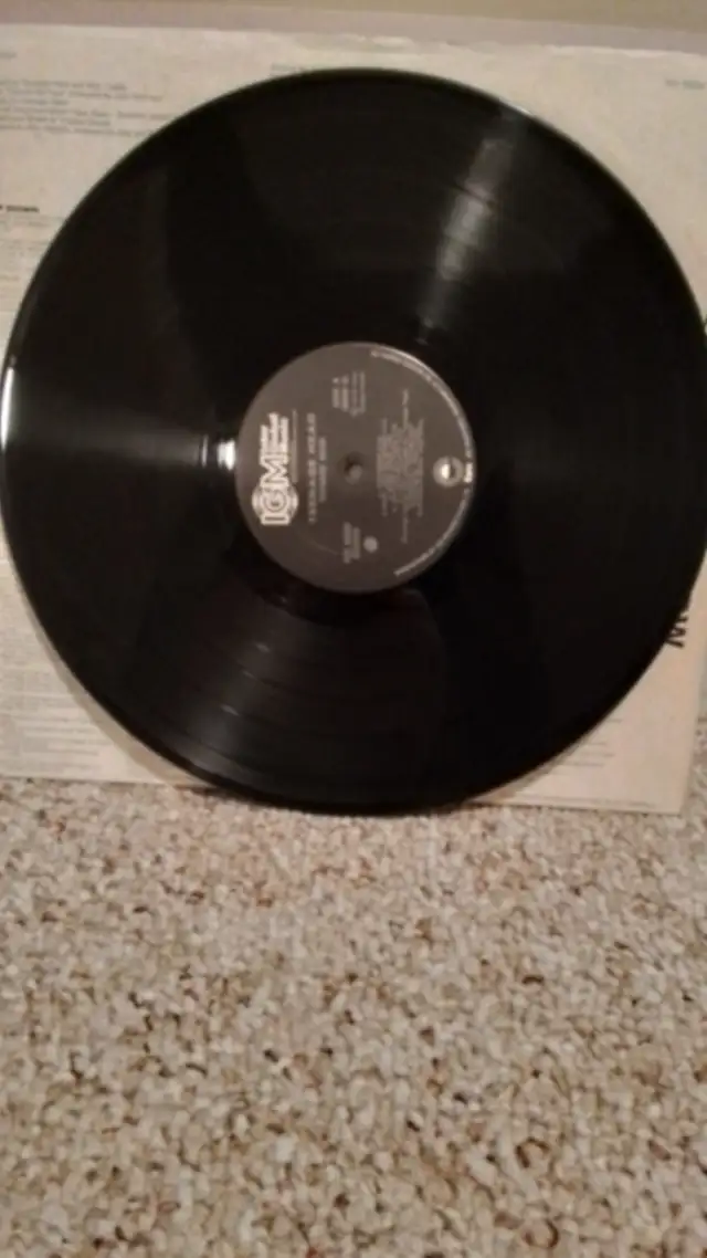Teenage Head Vinyl Records - Photo 6