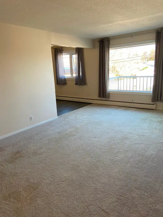 Spacious, Top Floor 2 Bedroom Apartment Available June 1st - Photo 3