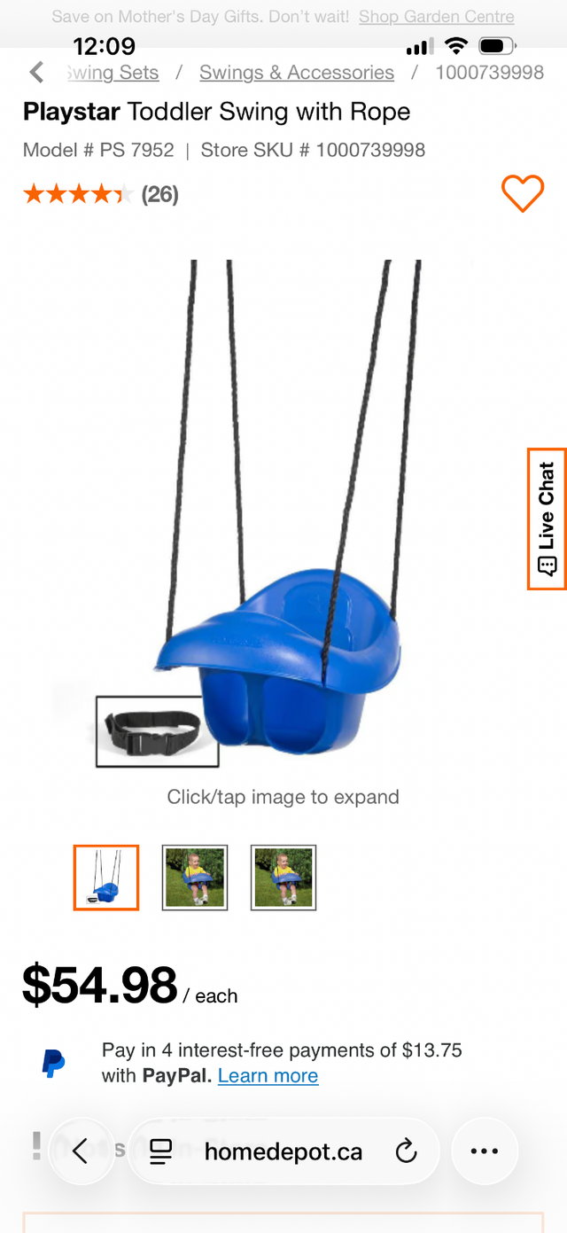 Toddler Swing - Photo 2