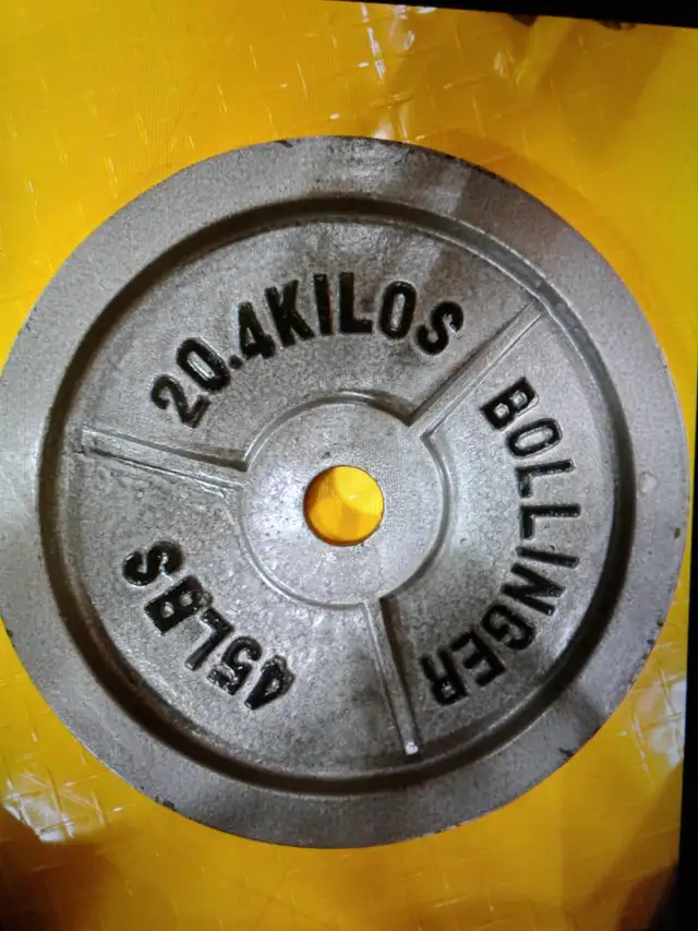 2x 45 olympic iron weight plates (Bollinger brand) $100 total
