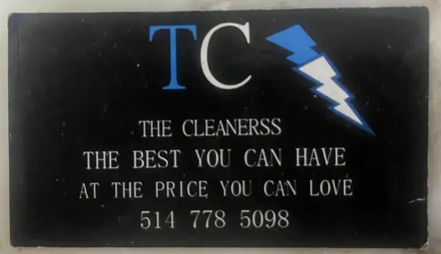 cleaning lady