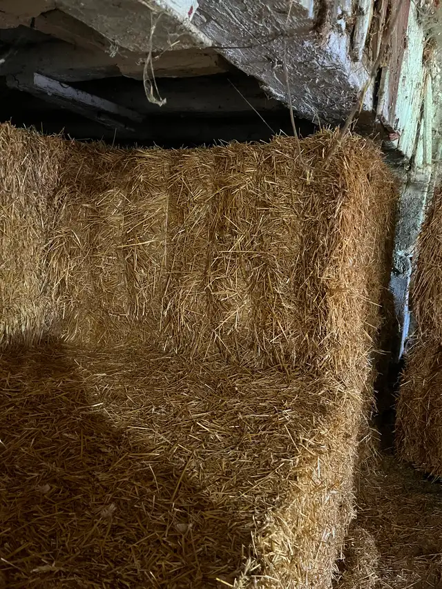 4 by 6 straw bales