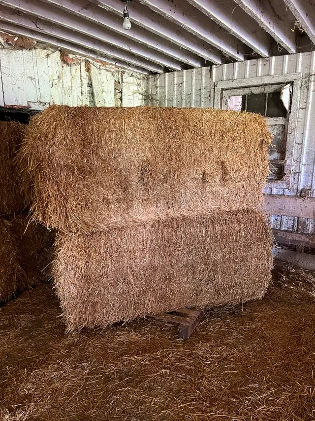 4 by 6 straw bales - Photo 2
