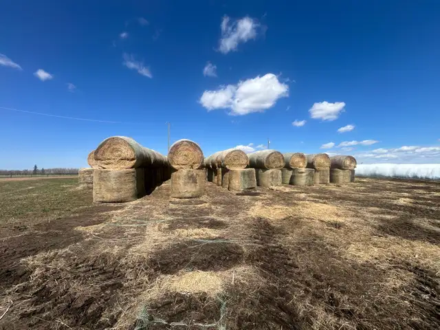 Hay for sale