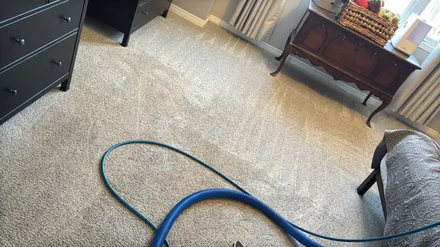 Carpet, sofa and mattresses cleaning