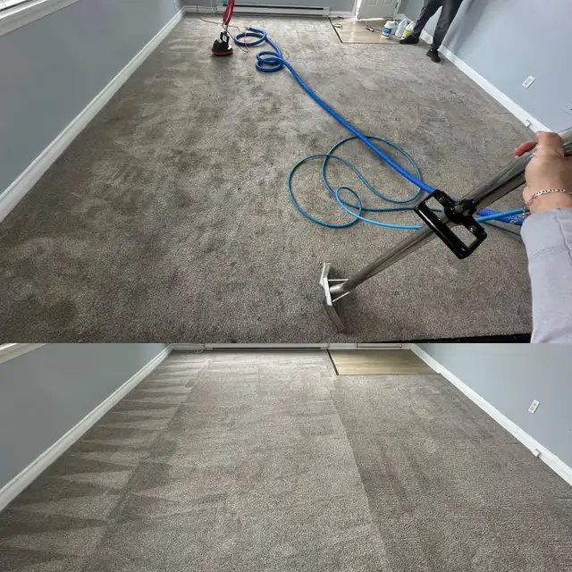 Carpet, sofa and mattresses cleaning - Photo 5