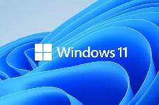 Windows 11 support