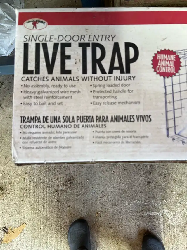 live traps for animals