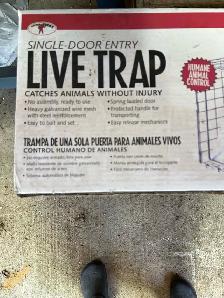 live traps for animals