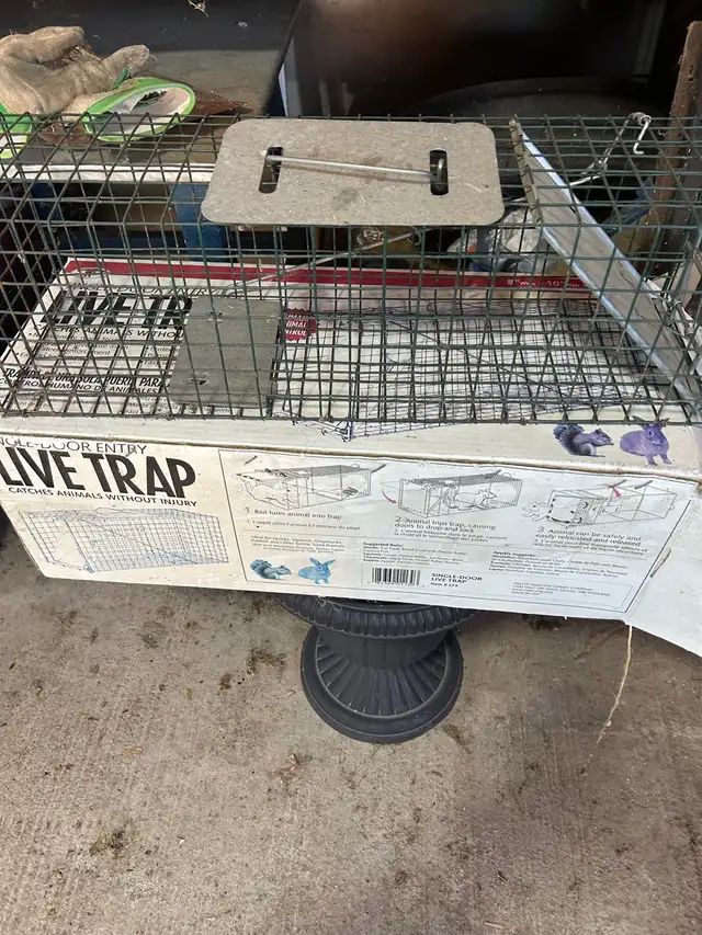 live traps for animals - Photo 3