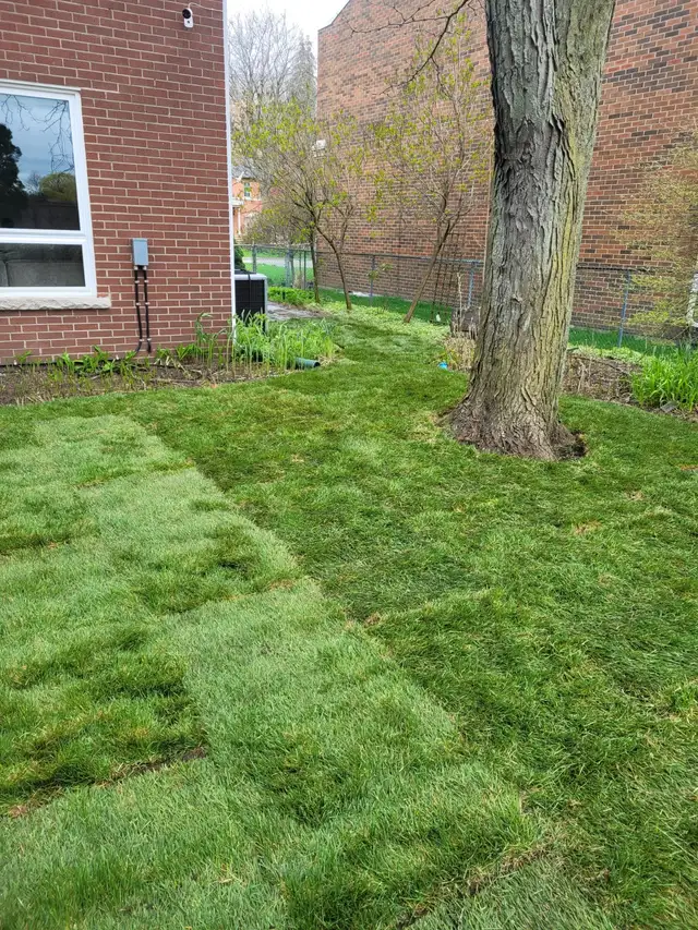 PM Lawn Sprinkler System installation - Photo 2