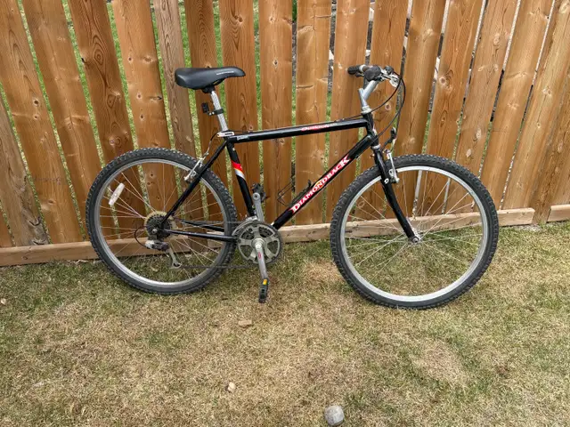 Mountain Bike