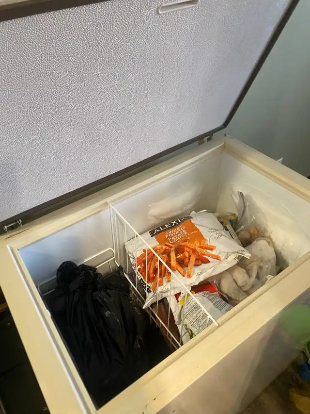 Chest Freezer - Photo 2