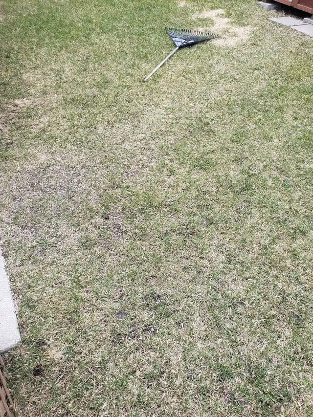 Yard work today 15 per hr