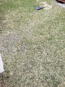 Yard work today 15 per hr