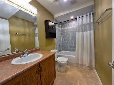2 bed bright walkout basement green space - Photo 8