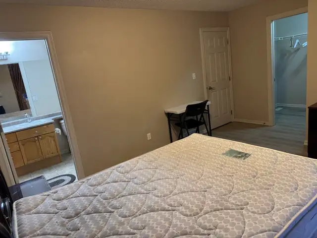 Room for rent with attached Washroom & Walkin closet - Photo 4
