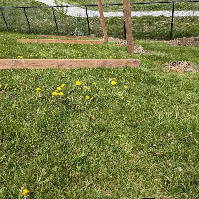 looking for landscape and general labourer work - Photo 8