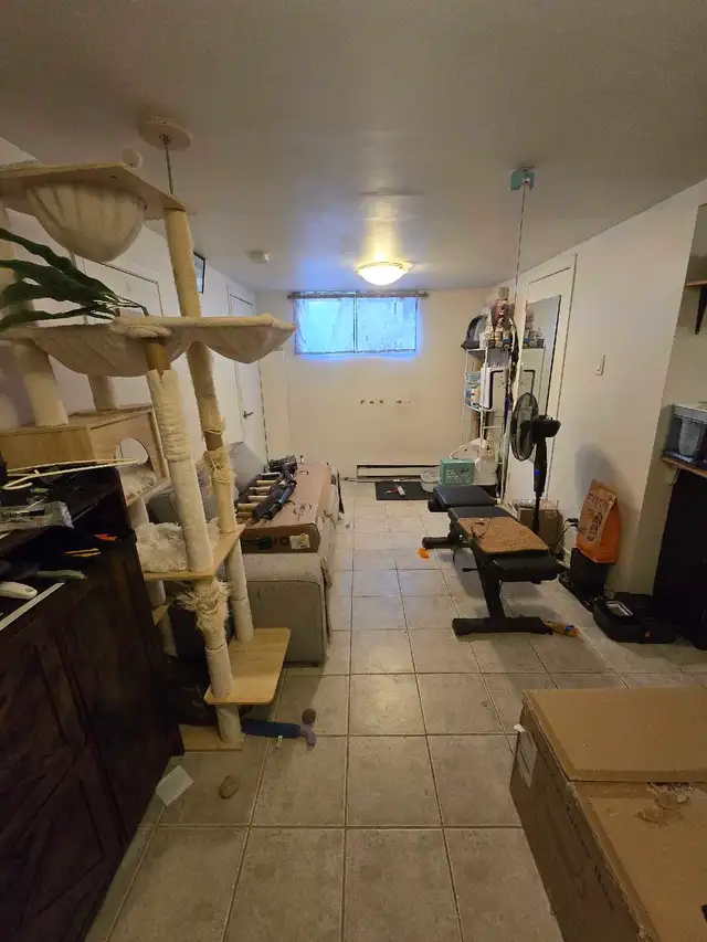 1 Bedroom Basement Apartment lease assignment - Photo 3