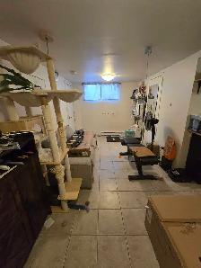 1 Bedroom Basement Apartment lease assignment - Photo 3