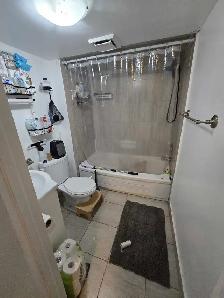 1 Bedroom Basement Apartment lease assignment - Photo 5