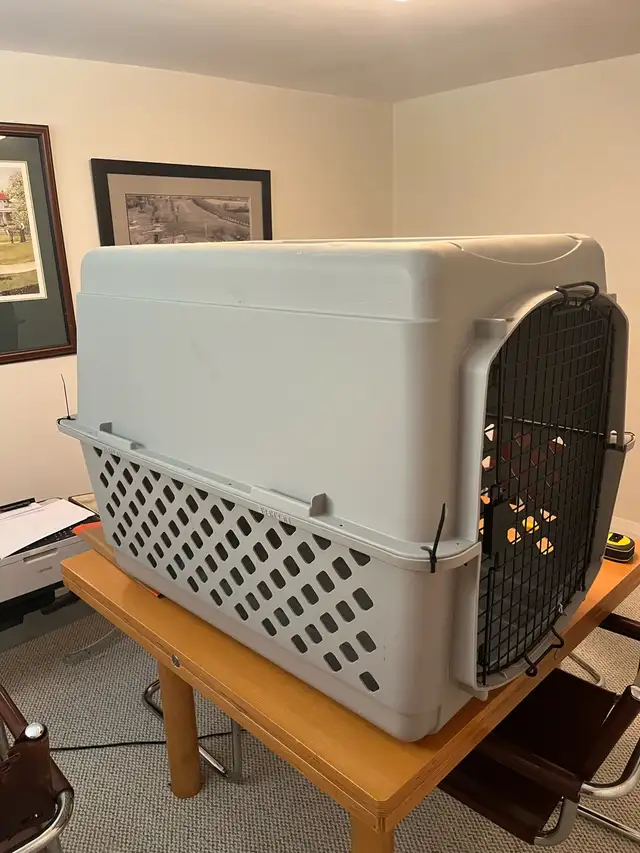 LARGE DOG CRATE - Photo 3