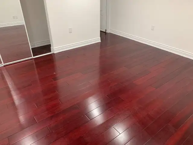 Legal Basement for rent - Photo 2