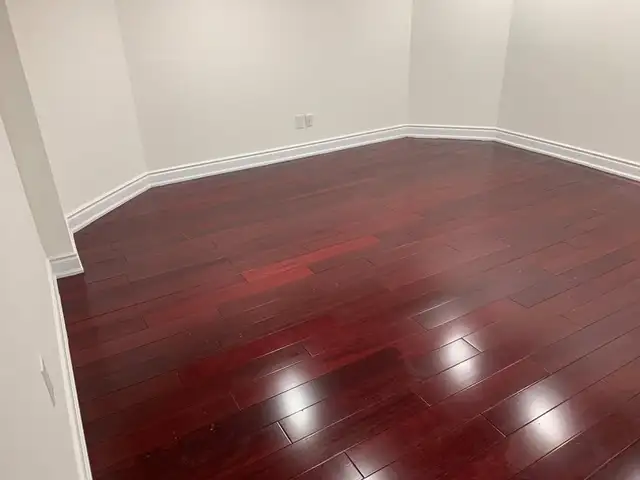 Legal Basement for rent - Photo 4