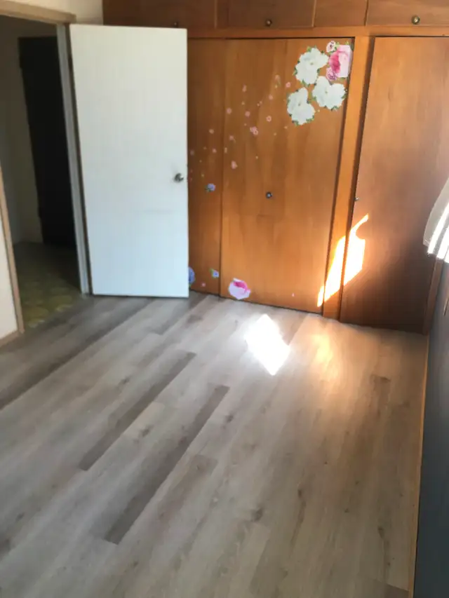 1-Bedroom basement suite for rent  ASAP-female student or worker