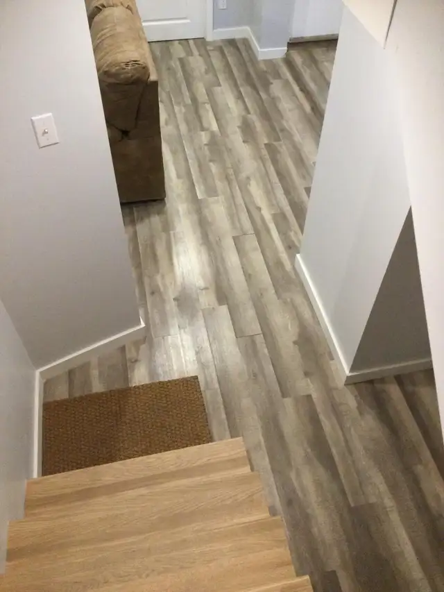 TRÈS GRANDE4 ET DEMI . RUE PIERRE-TÉTREAULT SOUS-SOL D'UN 4 PLEX - Photo 2