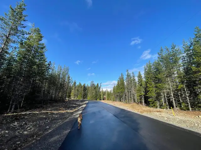 2 Acre lots for sale in Jackpine (Loeppky Place) - Photo 4
