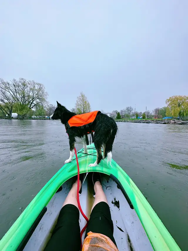 Toronto Best Kayaking on Lake Simcoe ☀️$25 - Photo 4
