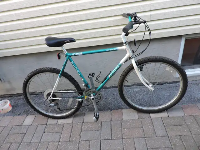 Vélo de ville Vintage Haute Gamme Fiori San Marino Italia