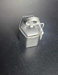 SZ 12 Platnium Band (28878908)