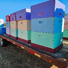 Beekeeping Equipment