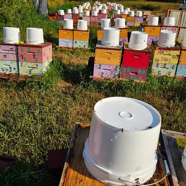 Beekeeping Equipment - Photo 2