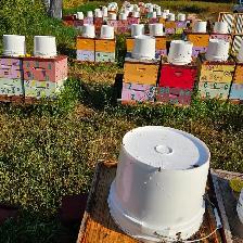 Beekeeping Equipment - Photo 2