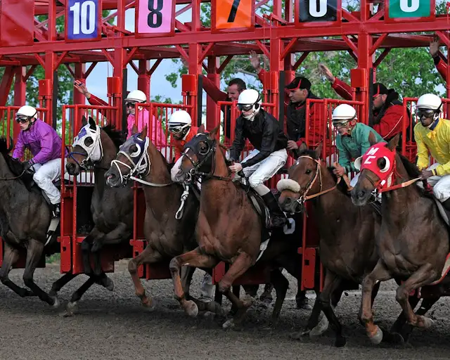 Looking for stall cleaner at Assiniboia downs