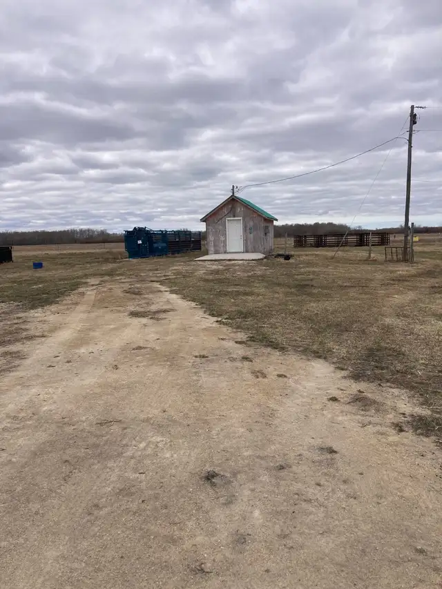 Pasture land for sale - Photo 2
