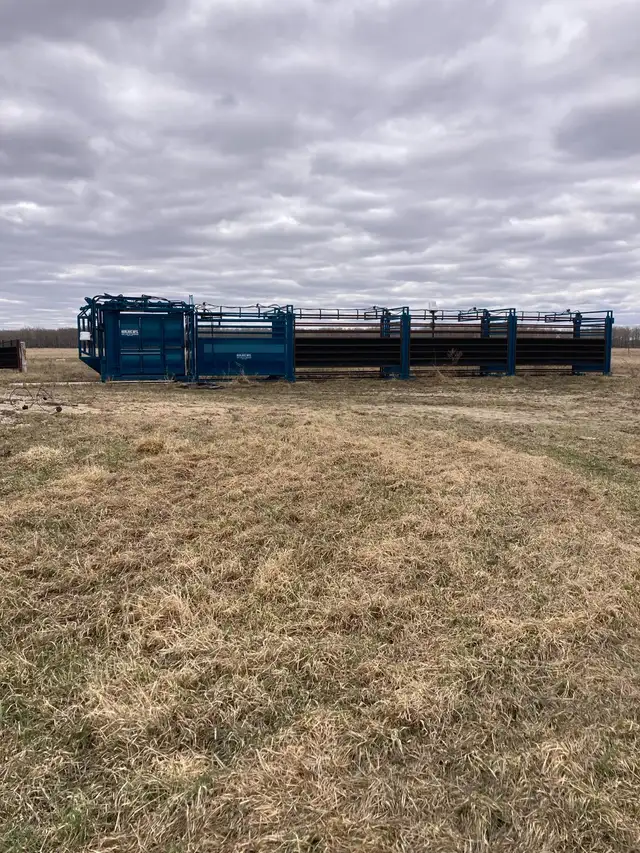 Pasture land for sale - Photo 3