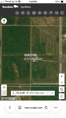 Pasture land for sale - Photo 8