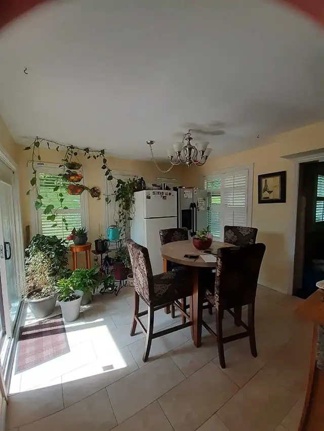 room available for rent in four bedroom house - Photo 9