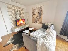 Furnish Studio/Loft Apartment Cable, Net, Utils Inc.