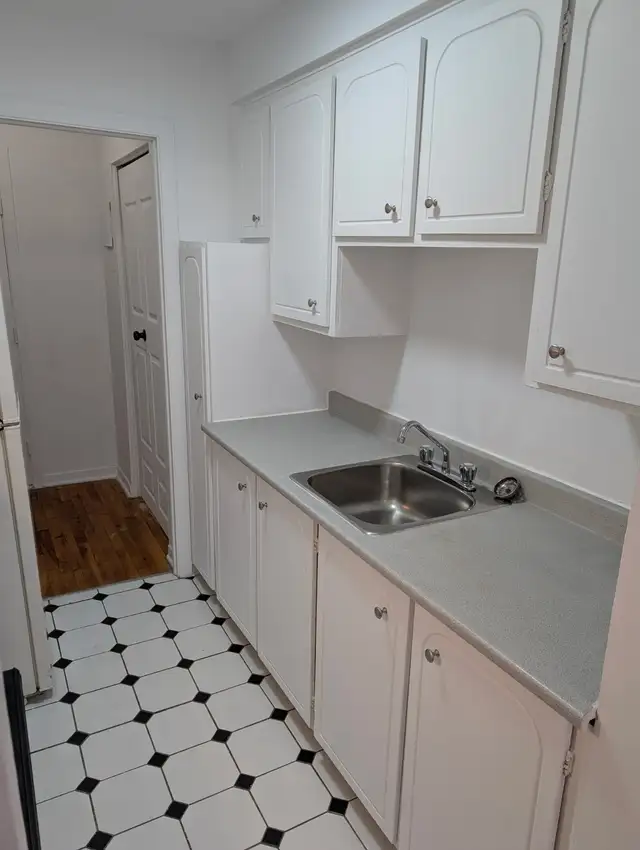 AHUNTSIC, 3.5, Papineau, ascenseur 1,100$ - Photo 3