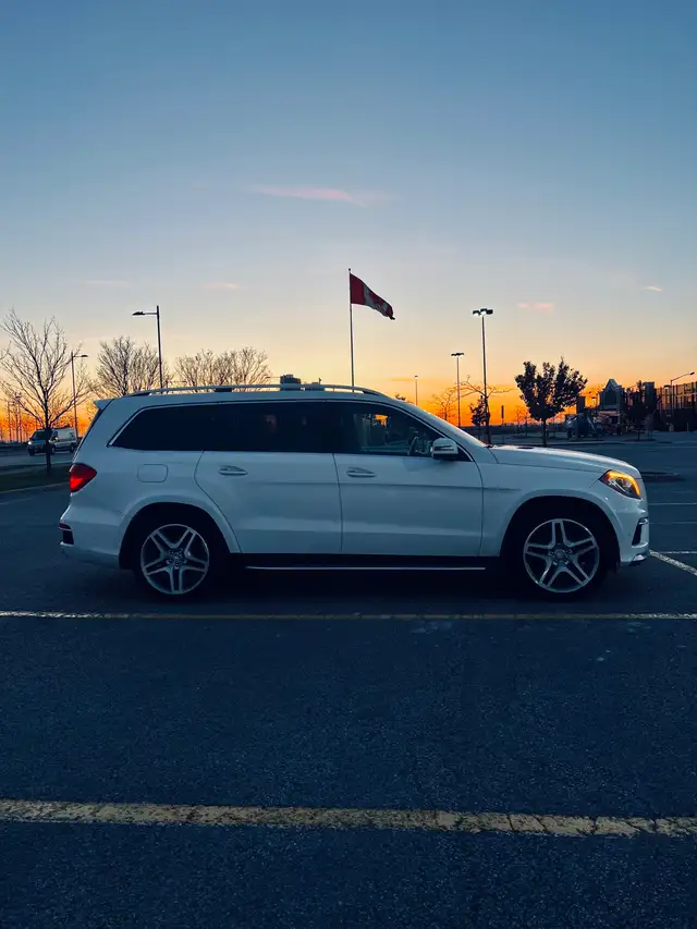 2016 Mercedes Benz GL350 Bluetec - Photo 3