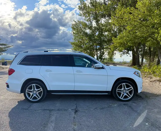 2016 Mercedes Benz GL350 Bluetec - Photo 5