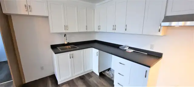 1 mois gratuit,4 et demi rénové rue Duguay, dispo maintenant - Photo 4