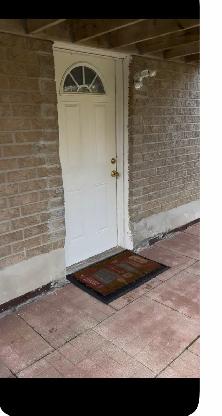 1 bd basement for rent