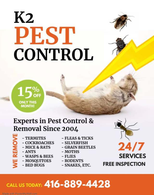 K2 PEST CONTROL SERVICES ALL PESTS "1 YEAR WARRANTY" - Photo 3